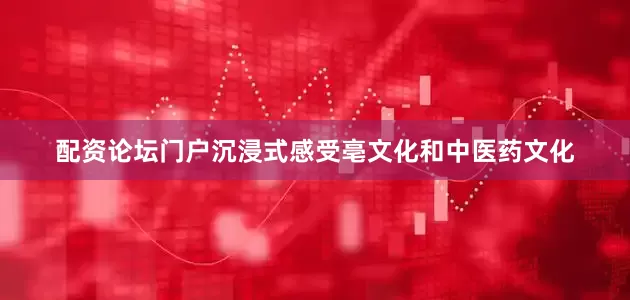 配资论坛门户沉浸式感受亳文化和中医药文化